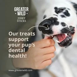 Greater Wild Tender Jerky Sticks For Dogs, Chicken, 17.6 Oz. (PGN300006) -Hoover Shop unnamed file 1000