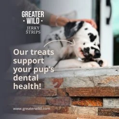 Greater Wild Tender Jerky Strips For Dogs, Chicken, 17.6 Oz. (PGN300010) -Hoover Shop unnamed file 1008