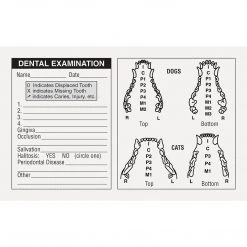 Medical Arts Press® Veterinary Examination Medical Labels, Dog & Cat Dental, White, 2-1/2x4", 100 Labels