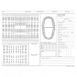 Medical Arts Press® Dental Chart, Treatment Notes, Green, No Punch