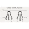 Medical Arts Press® Veterinary Examination Medical Labels, Canine Dental Record, White, 1-3/4x3-1/4", 500 Labels