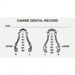 Medical Arts Press® Veterinary Examination Medical Labels, Canine Dental Record, White, 1-3/4x3-1/4", 500 Labels