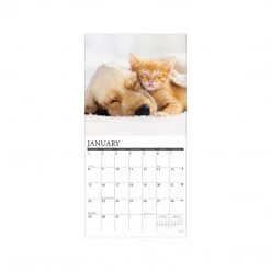 2023 Willow Creek Pet Pals 12" X 12" Monthly Wall Calendar (27233) 5 2023 Willow Creek Pet Pals 12" X 12" Monthly Wall Calendar (27233) -Hoover Shop unnamed file 618