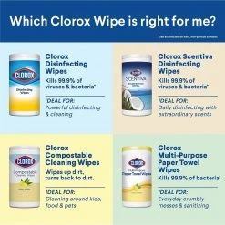 Clorox® Disinfecting Wipes Value Pack 3 Canisters, 35 Wipes/Canister, 5 - 3PKs/CT (30112) Packaging May Vary -Hoover Shop unnamed file 681