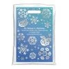 Medical Arts Press® Seasonal Personalized Full-Color Bags; 9x13", Pet Snowflakes, 100 Bags, (19966) -Hoover Shop unnamed file 951