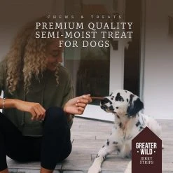 Greater Wild Tender Jerky Strips For Dogs, Beef, 17.6 Oz., 2/Pack (TBN203096) -Hoover Shop unnamed file 969